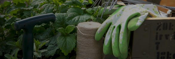 Accueil - Retail garden banner - Summer Waterfun
