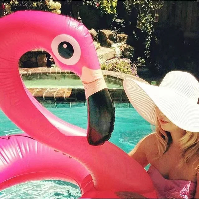 Anneau de natation gonflable de flamant rose de PVC pour des fournitures de fêtes de piscine d'adultes et flotteur de piscine - Kf s d d b ea e a e i - Summer Waterfun