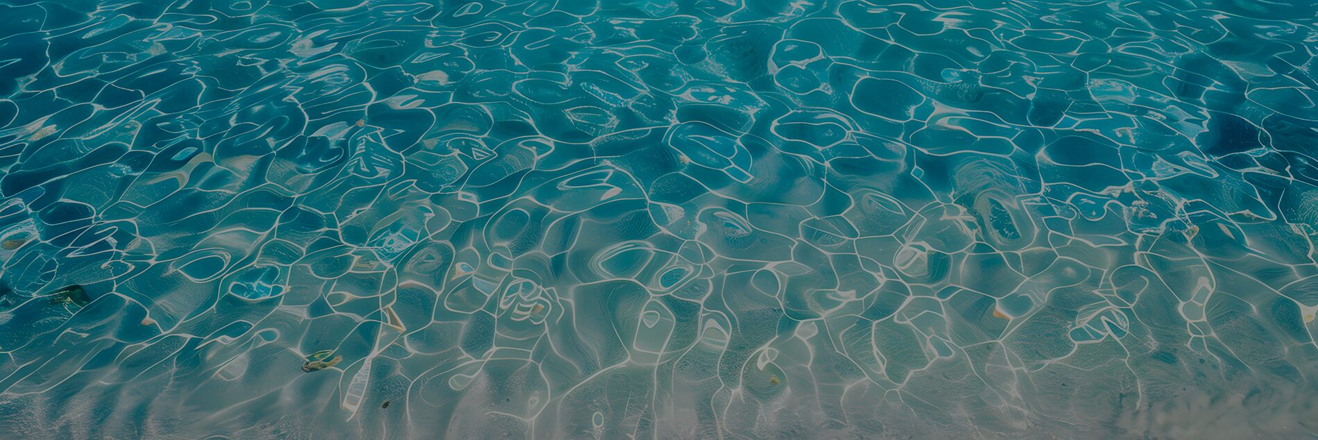 Banniere summer waterfun - Summer Waterfun