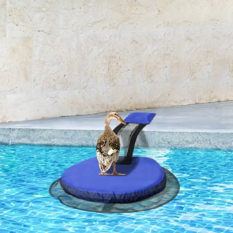 Rampe d'évasion d'animaux pour piscine - Kf s df d d b eda fef a cm - Summer Waterfun